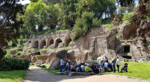 Skip the Line Colosseum, Roman Forum and Palatine Hill Tour